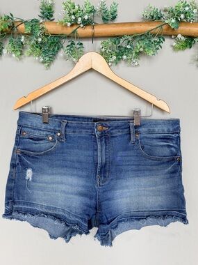 Rachel Roy Blue Denim Shorts size 12